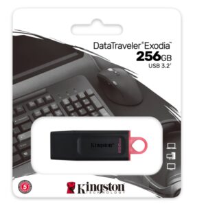 256GB USB3.2 Gen1 DTX/256GB Exodia KINGSTON